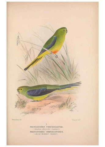 Reproducción/Reproduction 48684282263: The Birds of Australia. London :Witherby & Co.,1910-1927.. 