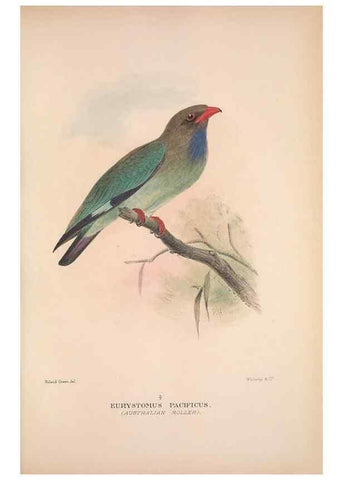 Reproducción/Reproduction 48684655786: The Birds of Australia. London :Witherby & Co.,1910-1927.. 
