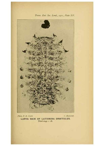 Reproducción/Reproduction 48683412998: Transactions of the Entomological Society of London.. London,The Society.. 
