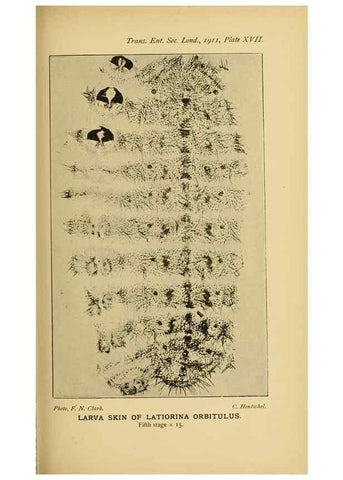 Reproducción/Reproduction 48683752141: Transactions of the Entomological Society of London.. London,The Society.. 
