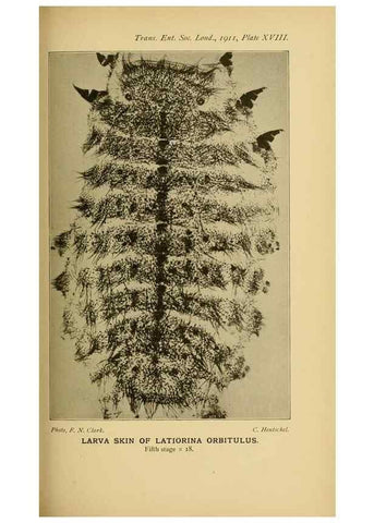 Reproducción/Reproduction 48683752441: Transactions of the Entomological Society of London.. London,The Society.. 