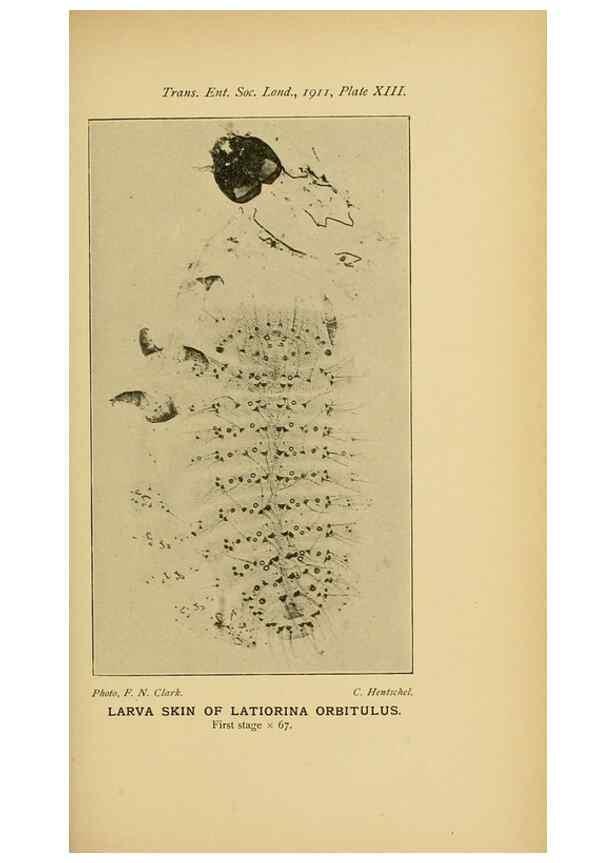 Reproducción/Reproduction 48683924312: Transactions of the Entomological Society of London.. London,The Society.. 