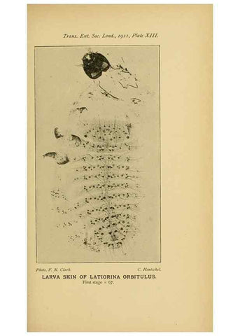 Reproducción/Reproduction 48683924312: Transactions of the Entomological Society of London.. London,The Society.. 