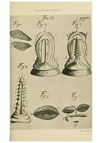 Reproducción/Reproduction 48683918287: Transactions of the Entomological Society of London.. London,The Society.. 
