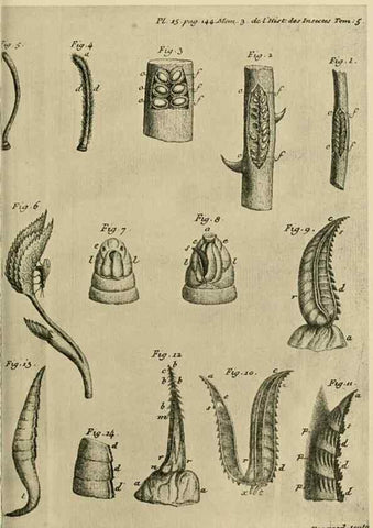 Reproducción/Reproduction 48683745956: Transactions of the Entomological Society of London.. London,The Society.. 