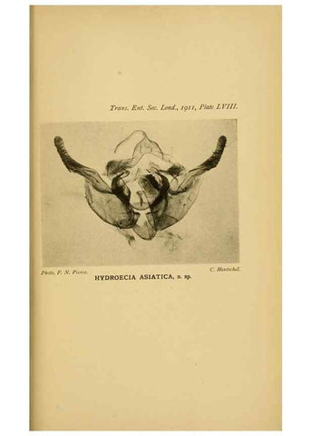 Reproducción/Reproduction 48683768621: Transactions of the Entomological Society of London.. London,The Society.. 