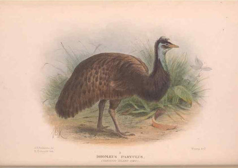 Reproducción/Reproduction 48684370737: The Birds of Australia. London :Witherby & Co.,1910-1927.. 
