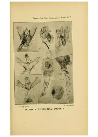 Reproducción/Reproduction 48683761891: Transactions of the Entomological Society of London.. London,The Society.. 