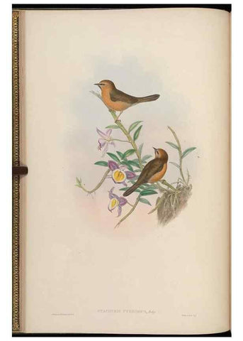 Reproducción/Reproduction 48629915583: Birds of Asia / by John Gould.. London :Printed by Taylor and Francis, pub. by the author,1850-1883.. 