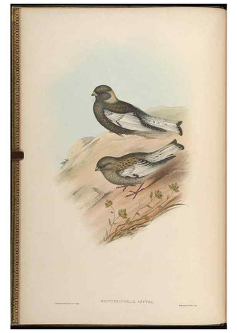 Reproducción/Reproduction 48630502787: Birds of Asia / by John Gould.. London :Printed by Taylor and Francis, pub. by the author,1850-1883.. 