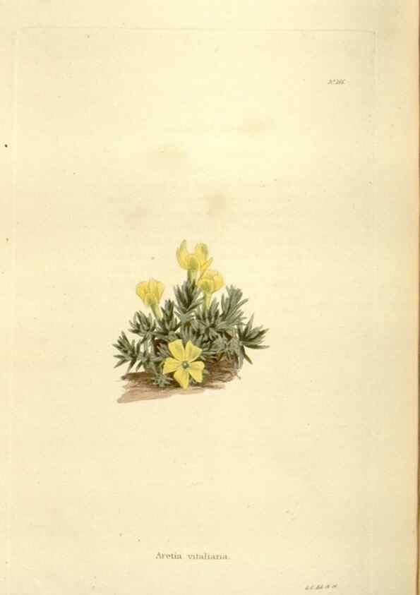 Reproducción/Reproduction 48624035112: The botanical cabinet. London :John & Arthur Arch ...,1817-1833.. 