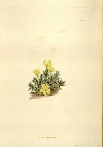 Reproducción/Reproduction 48624035112: The botanical cabinet. London :John & Arthur Arch ...,1817-1833.. 