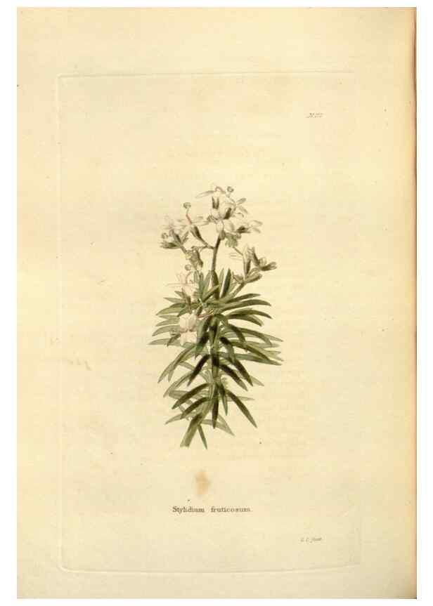 Reproducción/Reproduction 48623537698: The botanical cabinet. London :John & Arthur Arch ...,1817-1833.. 