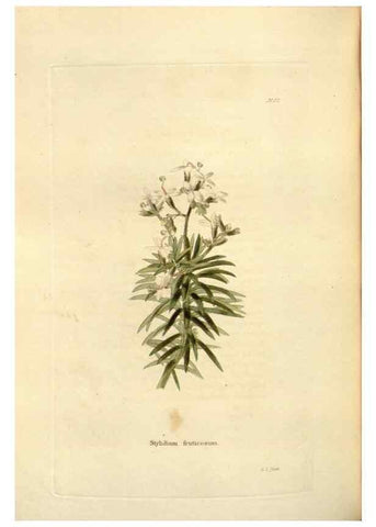 Reproducción/Reproduction 48623537698: The botanical cabinet. London :John & Arthur Arch ...,1817-1833.. 