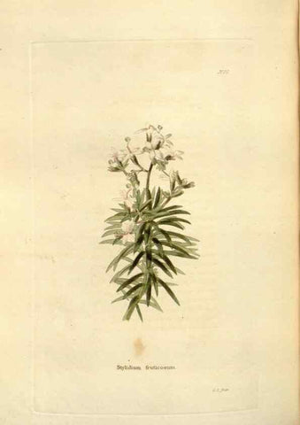 Reproducción/Reproduction 48623537698: The botanical cabinet. London :John & Arthur Arch ...,1817-1833.. 