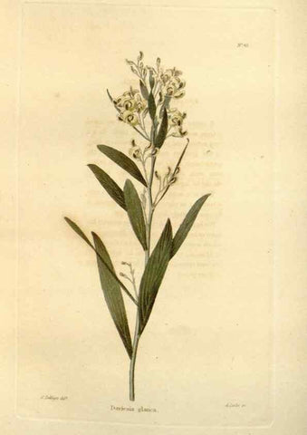 Reproducción/Reproduction 48623856312: The botanical cabinet. London :John & Arthur Arch ...,1817-1833.. 