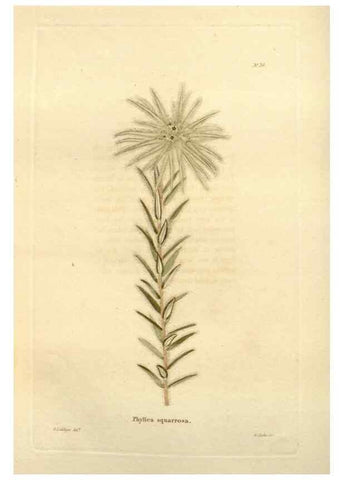 Reproducción/Reproduction 48623706016: The botanical cabinet. London :John & Arthur Arch ...,1817-1833.. 