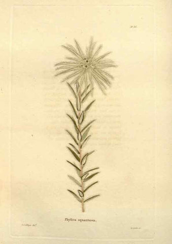 Reproducción/Reproduction 48623706016: The botanical cabinet. London :John & Arthur Arch ...,1817-1833.. 