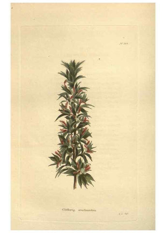 Reproducción/Reproduction 48624078256: The botanical cabinet. London :John & Arthur Arch ...,1817-1833.. 