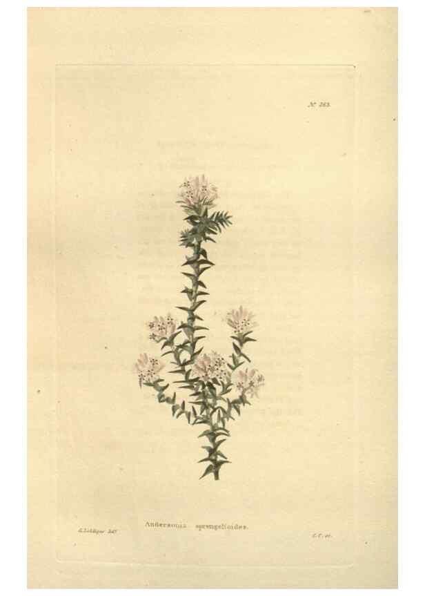 Reproducción/Reproduction 48624079596: The botanical cabinet. London :John & Arthur Arch ...,1817-1833.. 