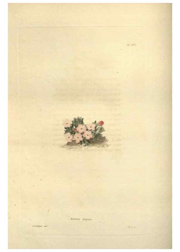 Reproducción/Reproduction 48624238927: The botanical cabinet. London :John & Arthur Arch ...,1817-1833.. 