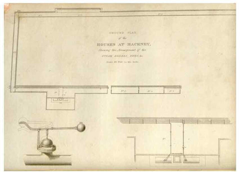 Reproducción/Reproduction 48623703598: The botanical cabinet. London :John & Arthur Arch ...,1817-1833.. 
