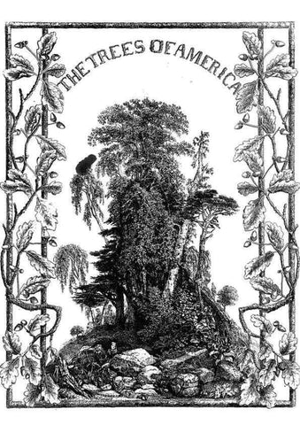 Reproducción/Reproduction 48637124691: The trees of America.. Boston,W. White[1855-58]. 
