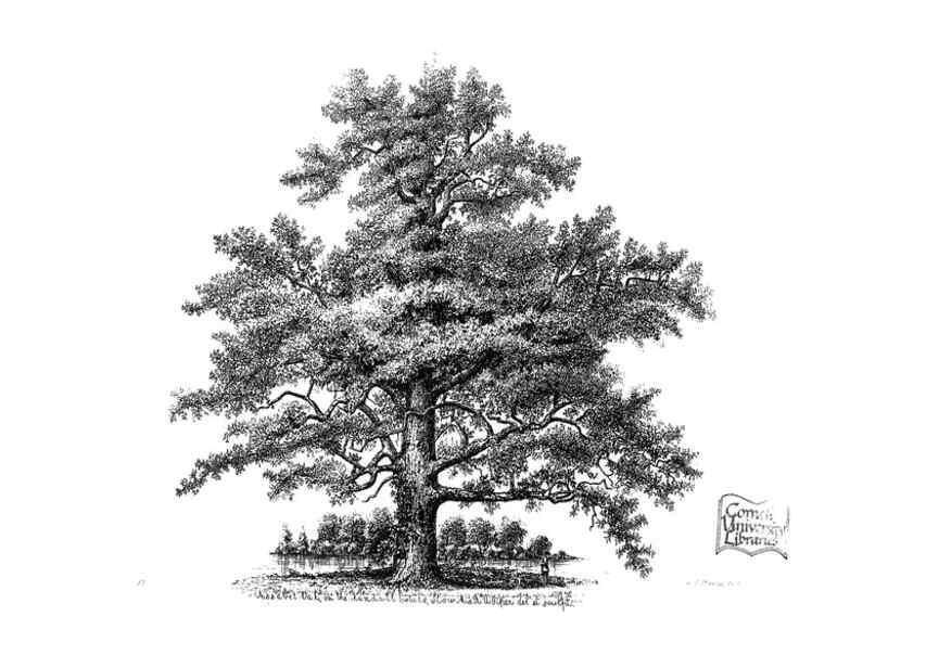 Reproducción/Reproduction 48637266902: The trees of America.. Boston,W. White[1855-58]. 