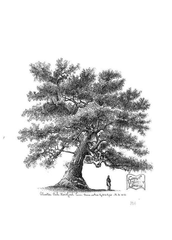 Reproducción/Reproduction 48637270512: The trees of America.. Boston,W. White[1855-58]. 