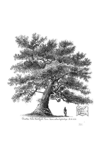 Reproducción/Reproduction 48637270512: The trees of America.. Boston,W. White[1855-58]. 