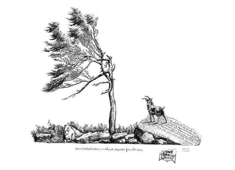Reproducción/Reproduction 48636778833: The trees of America.. Boston,W. White[1855-58]. 