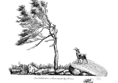 Reproducción/Reproduction 48636778833: The trees of America.. Boston,W. White[1855-58]. 