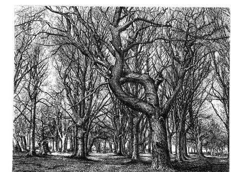 Reproducción/Reproduction 48637128346: The trees of America.. Boston,W. White[1855-58]. 