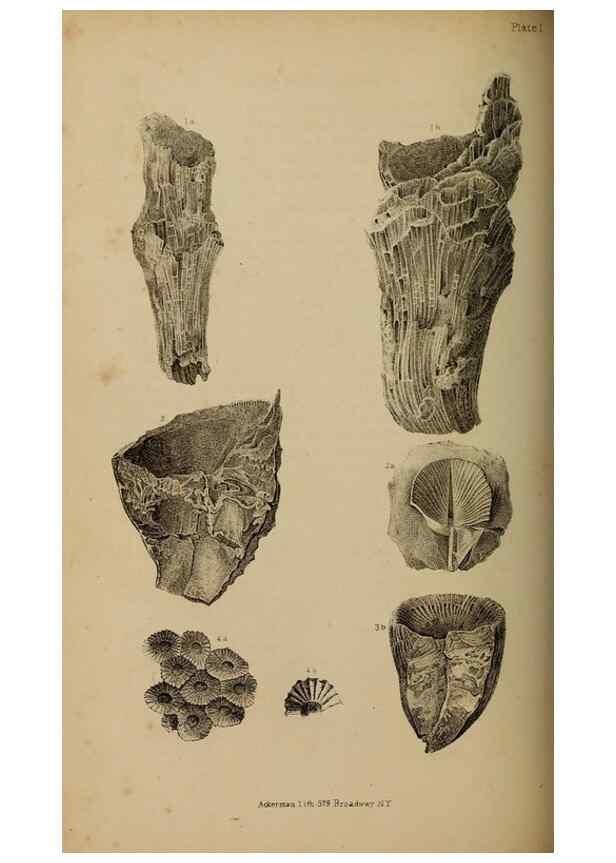 Reproducción/Reproduction 48636434156: Exploration and survey of the valley of the Great Salt Lake of Utah, including a reconnoissance of a new route through the Rocky Mountains.. Philadelphia :Lippincott, Grambo & Co.,1852.. 