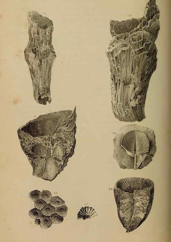 Reproducción/Reproduction 48636434156: Exploration and survey of the valley of the Great Salt Lake of Utah, including a reconnoissance of a new route through the Rocky Mountains.. Philadelphia :Lippincott, Grambo & Co.,1852.. 