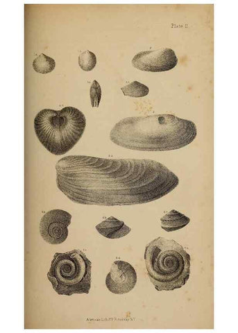 Reproducción/Reproduction 48636078818: Exploration and survey of the valley of the Great Salt Lake of Utah, including a reconnoissance of a new route through the Rocky Mountains.. Philadelphia :Lippincott, Grambo & Co.,1852.. 