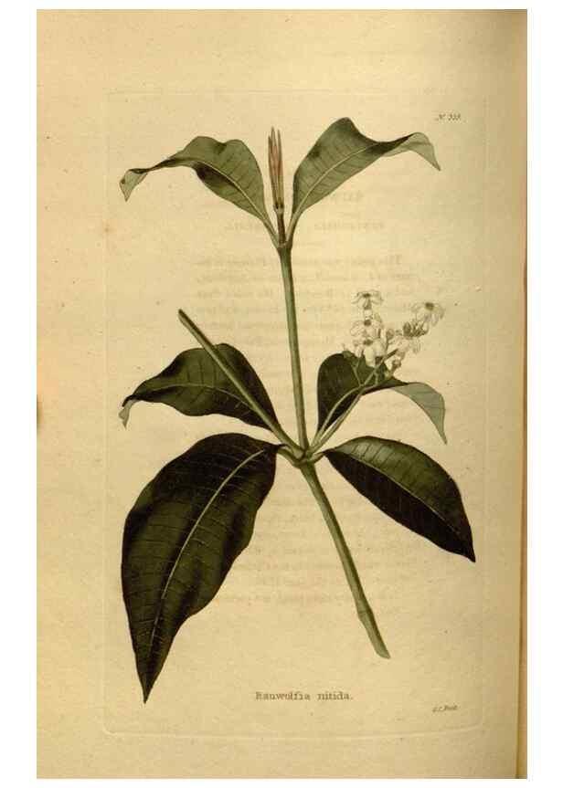 Reproducción/Reproduction 48637344256: The botanical cabinet. London :John & Arthur Arch ...,1817-1833.. 