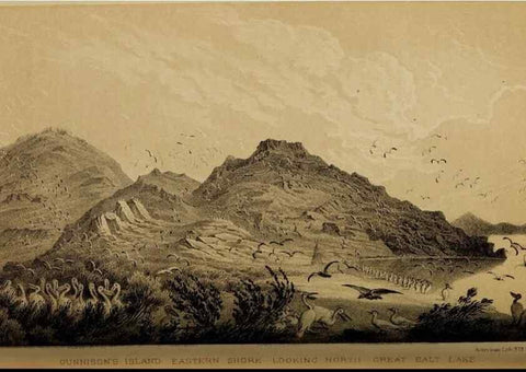 Reproducción/Reproduction 48636567507: Exploration and survey of the valley of the Great Salt Lake of Utah, including a reconnoissance of a new route through the Rocky Mountains.. Philadelphia :Lippincott, Grambo & Co.,1852.. 