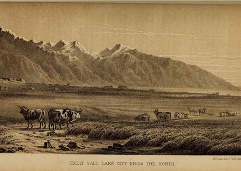 Reproducción/Reproduction 48636557647: Exploration and survey of the valley of the Great Salt Lake of Utah, including a reconnoissance of a new route through the Rocky Mountains.. Philadelphia :Lippincott, Grambo & Co.,1852.. 