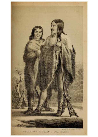 Reproducción/Reproduction 48636061863: Exploration and survey of the valley of the Great Salt Lake of Utah, including a reconnoissance of a new route through the Rocky Mountains.. Philadelphia :Lippincott, Grambo & Co.,1852.. 