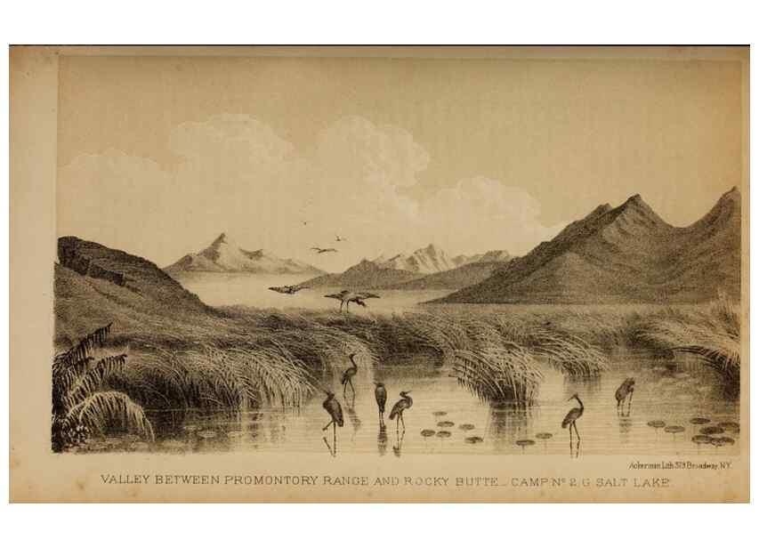 Reproducción/Reproduction 48636563562: Exploration and survey of the valley of the Great Salt Lake of Utah, including a reconnoissance of a new route through the Rocky Mountains.. Philadelphia :Lippincott, Grambo & Co.,1852.. 