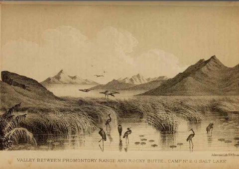 Reproducción/Reproduction 48636563562: Exploration and survey of the valley of the Great Salt Lake of Utah, including a reconnoissance of a new route through the Rocky Mountains.. Philadelphia :Lippincott, Grambo & Co.,1852.. 
