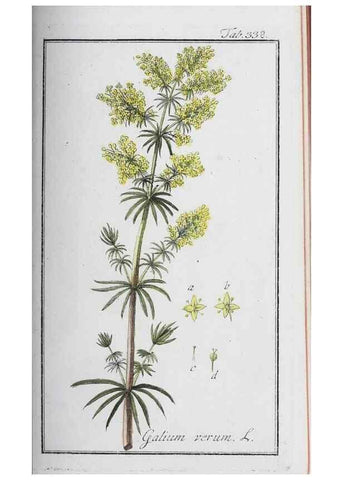 Reproducción/Reproduction 33304292728: Icones plantarum medicinalium.. Nürnberg :auf Kosten der Raspischen Buchhandlung,1779-1790. 