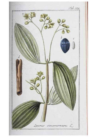 Reproducción/Reproduction 46456035174: Icones plantarum medicinalium.. Nürnberg :auf Kosten der Raspischen Buchhandlung,1779-1790. 