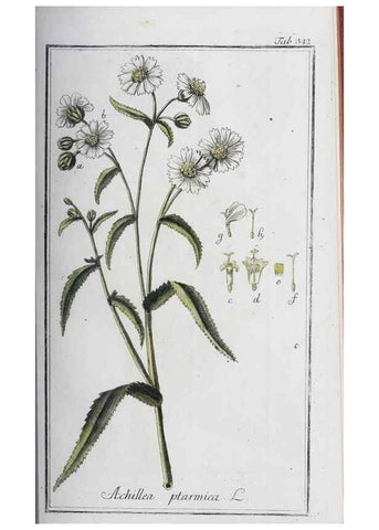 Reproducción/Reproduction 46265366795: Icones plantarum medicinalium.. Nürnberg :auf Kosten der Raspischen Buchhandlung,1779-1790. 