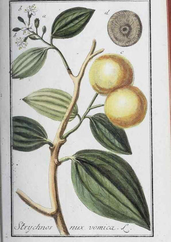 Reproducción/Reproduction 46456039064: Icones plantarum medicinalium.. Nürnberg :auf Kosten der Raspischen Buchhandlung,1779-1790. 