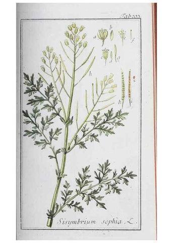 Reproducción/Reproduction 46456029804: Icones plantarum medicinalium.. Nürnberg :auf Kosten der Raspischen Buchhandlung,1779-1790. 