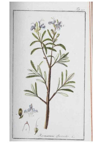 Reproducción/Reproduction 40214690593: Icones plantarum medicinalium.. Nürnberg :auf Kosten der Raspischen Buchhandlung,1779-1790. 