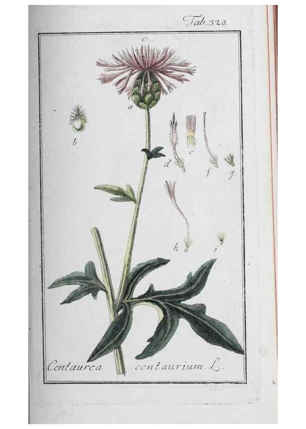 Reproducción/Reproduction 46265355345: Icones plantarum medicinalium.. Nürnberg :auf Kosten der Raspischen Buchhandlung,1779-1790. 