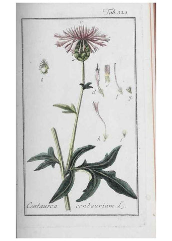 Reproducción/Reproduction 46265355345: Icones plantarum medicinalium.. Nürnberg :auf Kosten der Raspischen Buchhandlung,1779-1790. 